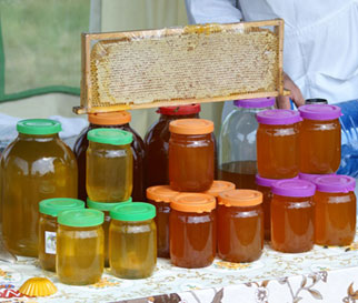 Какой мед самый полезный и ценный