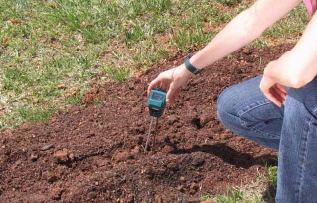 прибор для определения кислотности почвы