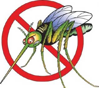 защита от комаров в домашних условиях
